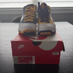 Nike LeBron Sneakers in Yellow and Purple